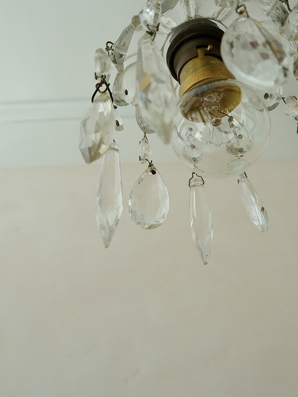 1900's フランス アンティーク 雨に濡れた小さなお花のミニ