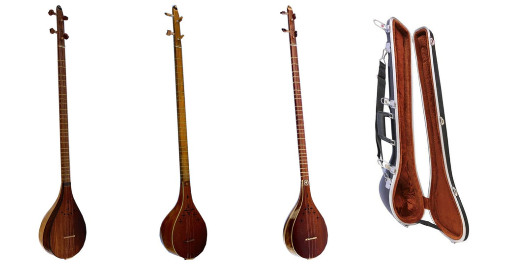 Persian String Instruments | Sala Muzik