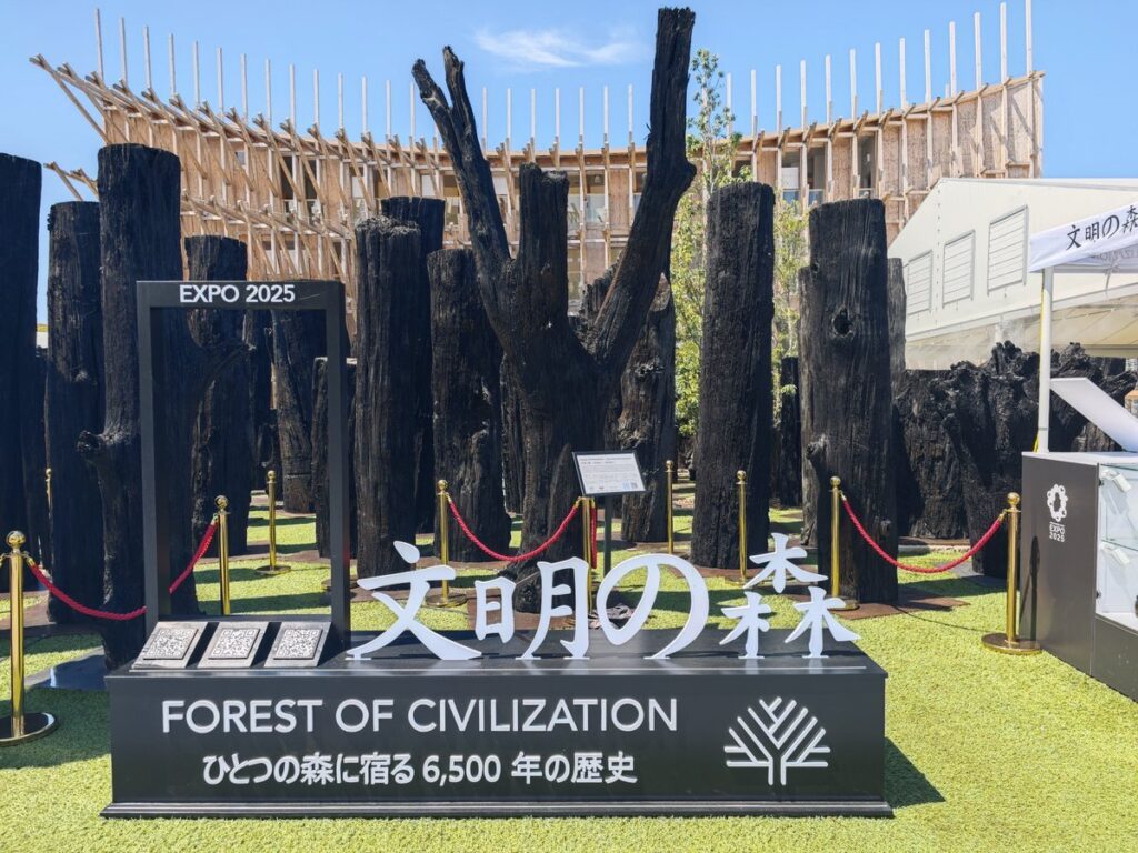 大阪関西万博 チェコパビリオン 非売品 文明の森写真集 大阪関西万博