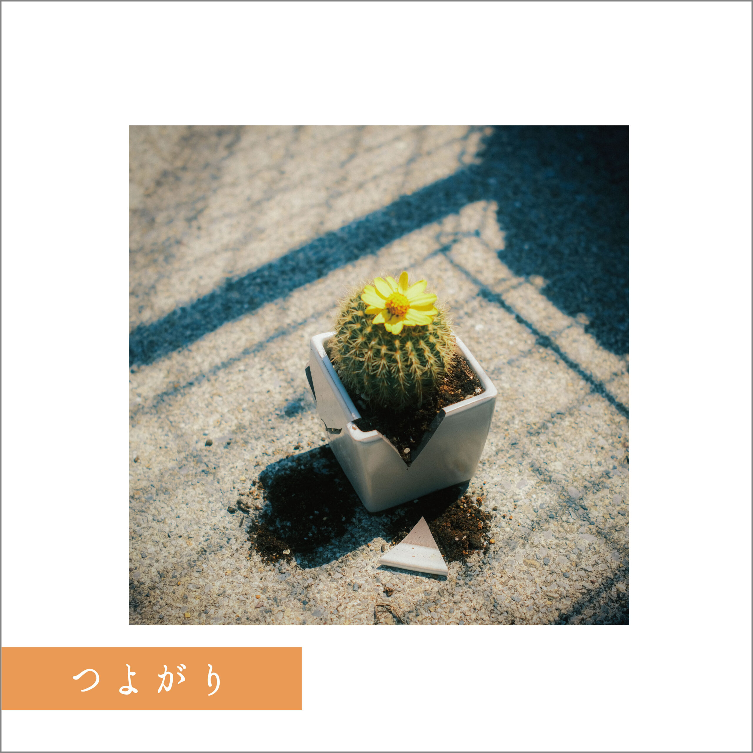 さとう(プロフ必読)出品 さとう プロフ必読 の出品した商品 - メルカリ