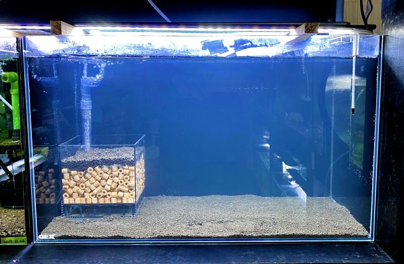 LSSろ過BOX LsEasyFilter (S) - さと美えび