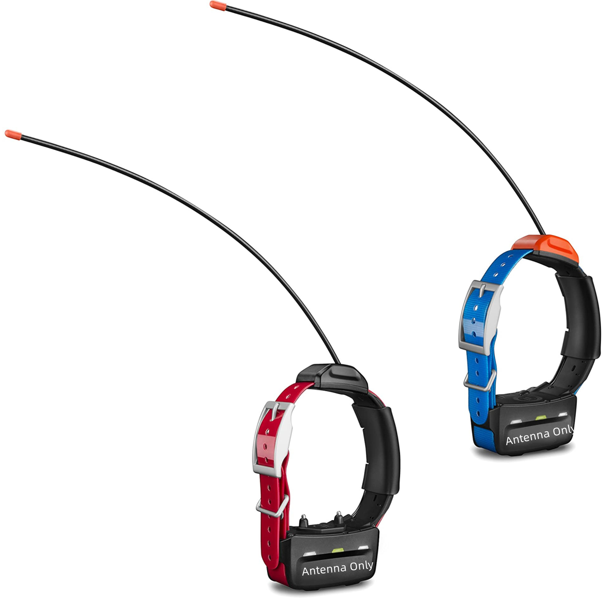 GARMIN ASTRO DC50首輪（中古品） 2025年最新】Yahoo!オークション