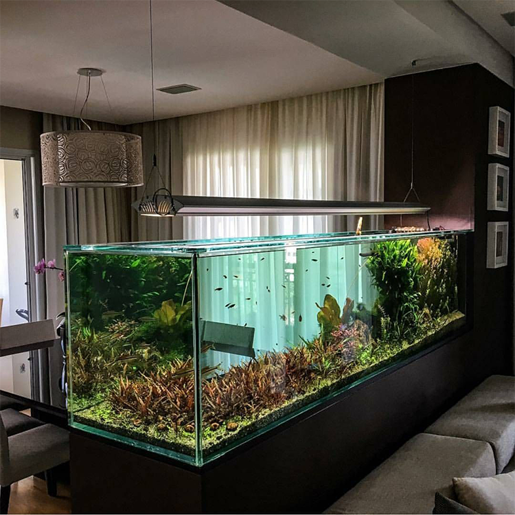 透明アクリル製大型長方形水槽セット | Leyuの環境に優しいアクアリウム