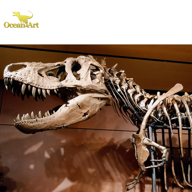 恐竜化石 レプリカ 縦43cm 横16.5cm 恐竜化石 レプリカ 縦43cm 横16.5cm