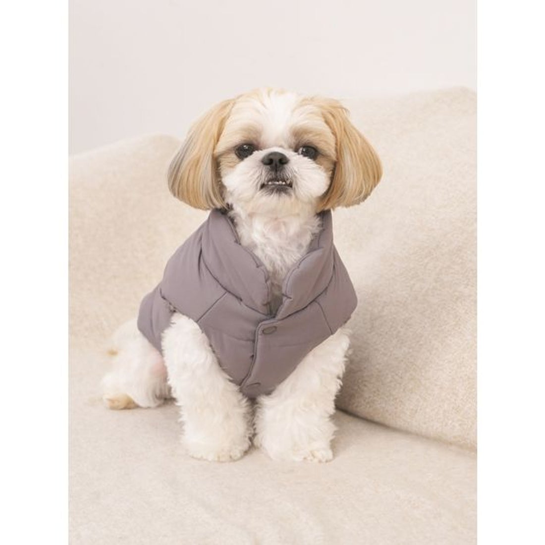 ジェラートピケ gelato pique 【CAT&DOG】XL・XXLサイズ中綿ベスト