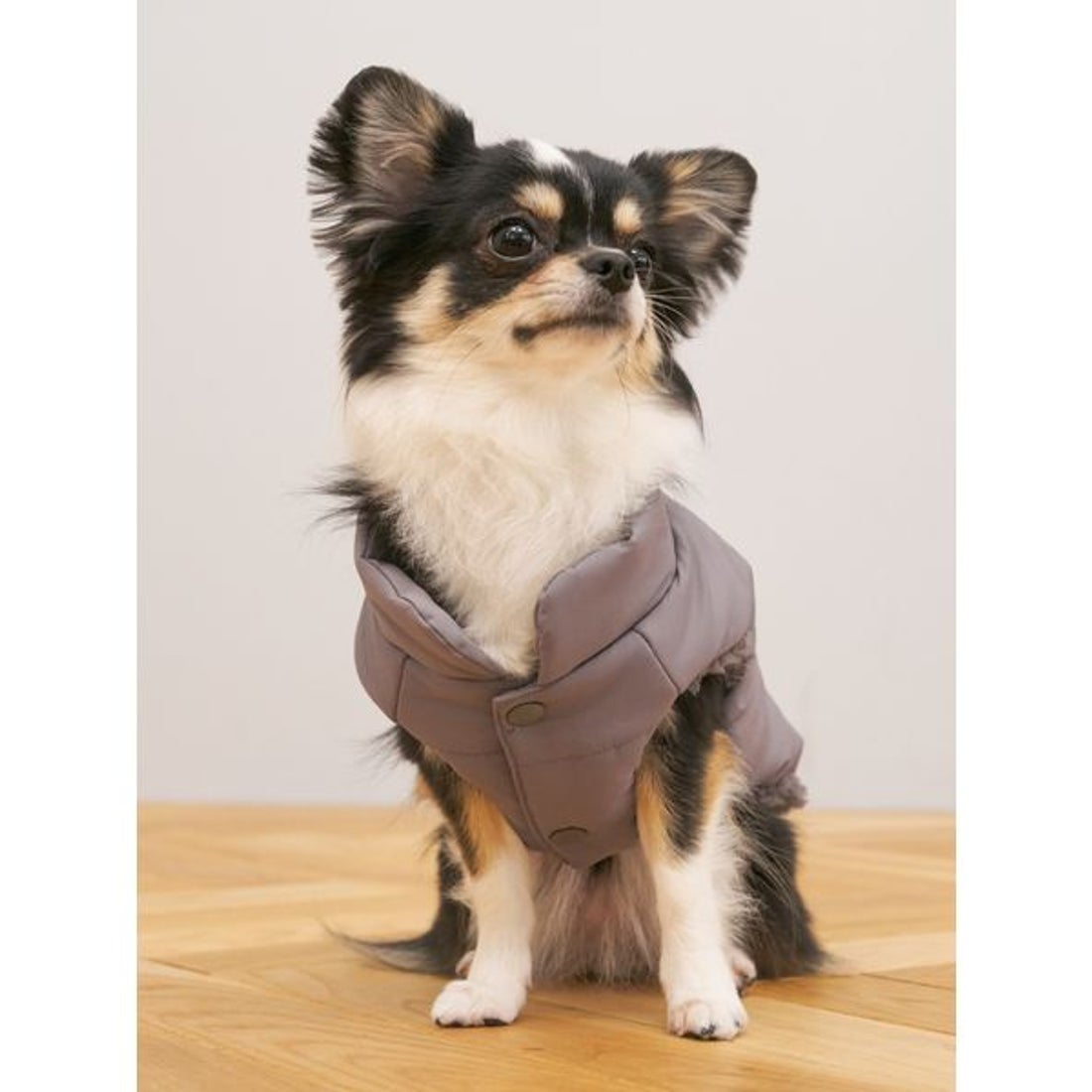 ジェラートピケ gelato pique 【CAT&DOG】中綿ベスト 【返品不可商品