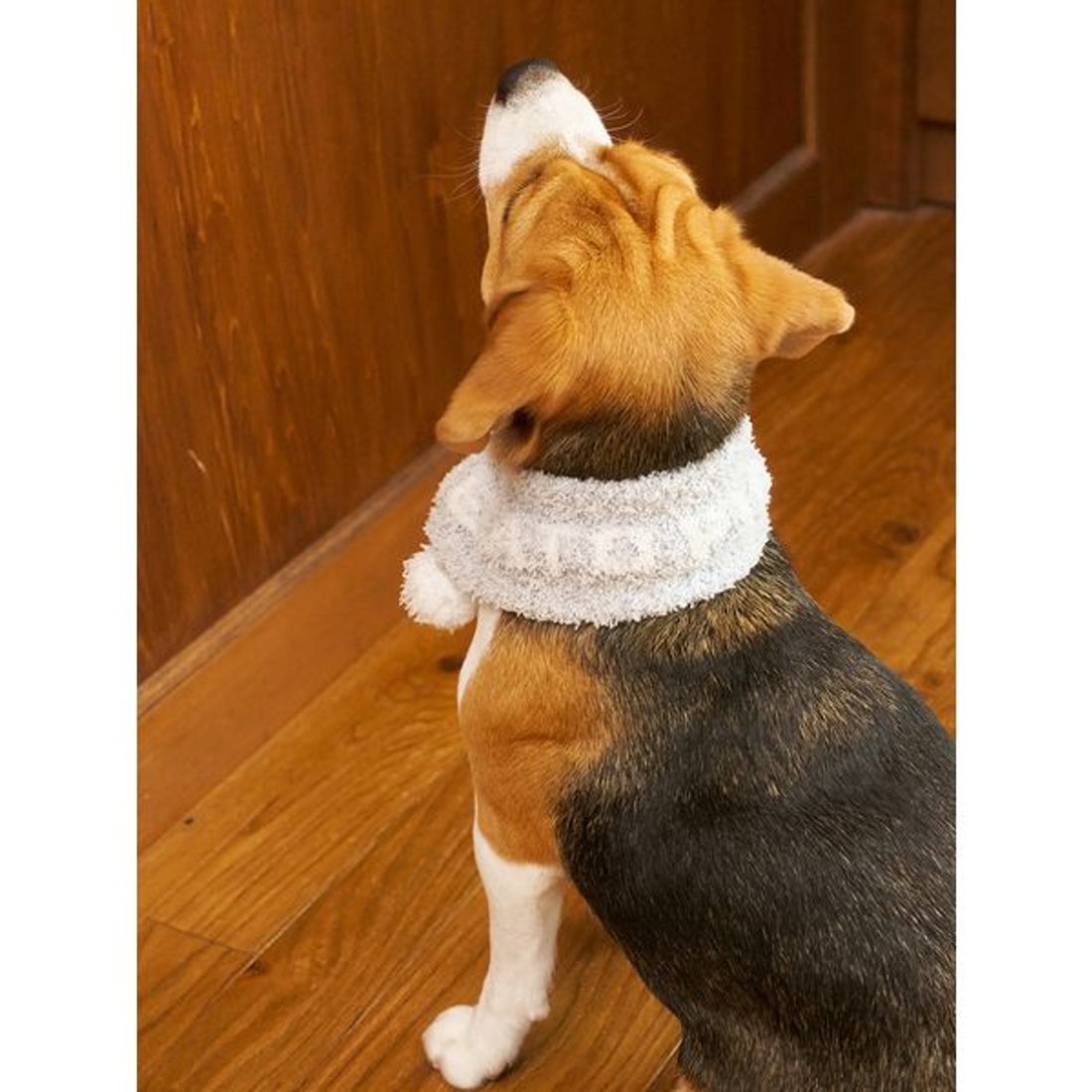 ジェラートピケ gelato pique 【CAT&DOG】ジェラートメランジマフラー