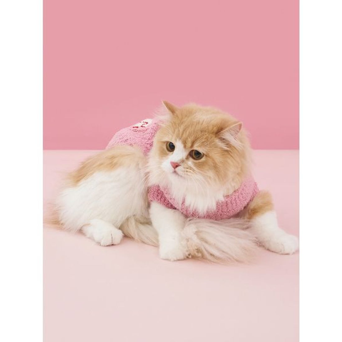 ジェラートピケ gelato pique 【CAT&DOG】ベビモコベアサガラ刺繍プル