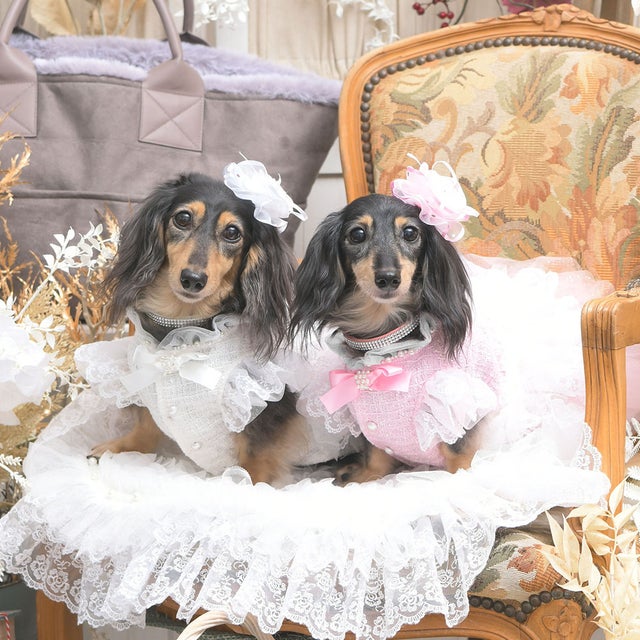 Luxe birdie リュクスバーディ ロズレドレス M リュクスバーディ Luxe