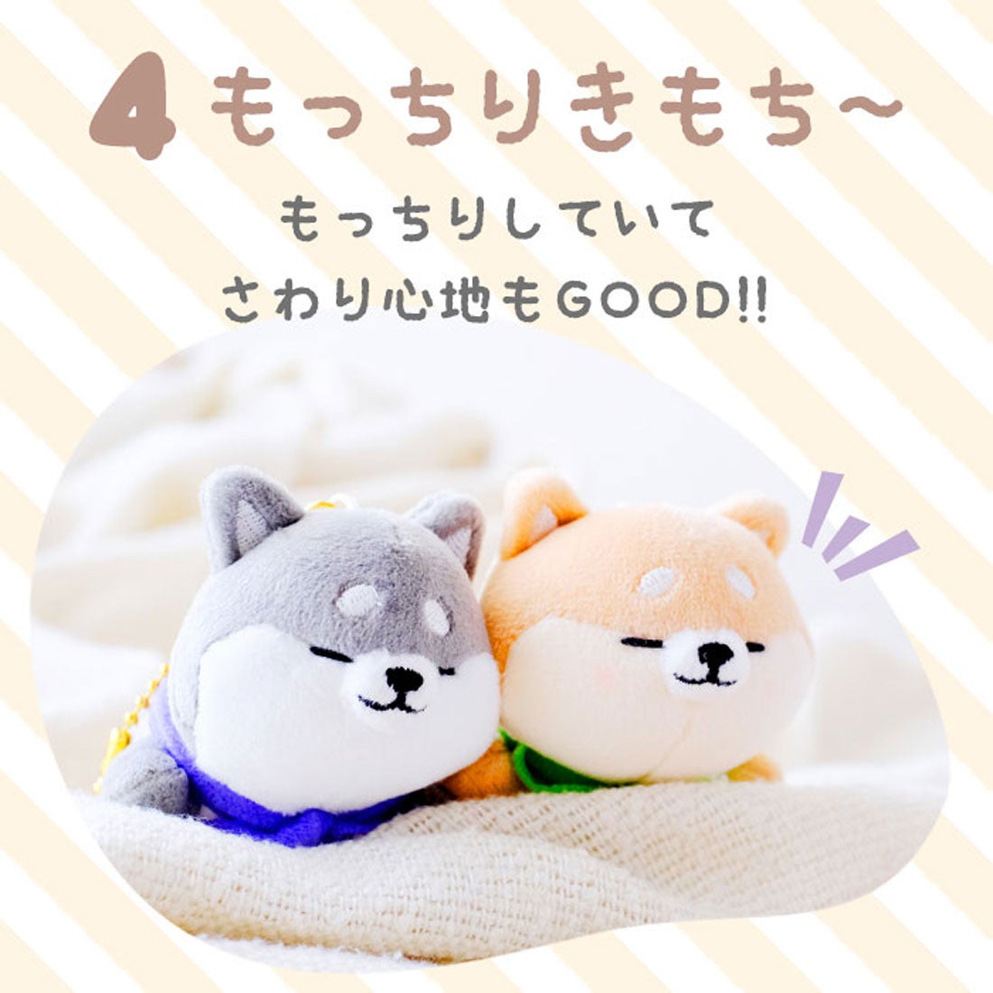 ちびぬいホリパカキーホルダー 3つセット NATSU 楽天市場】マスコット