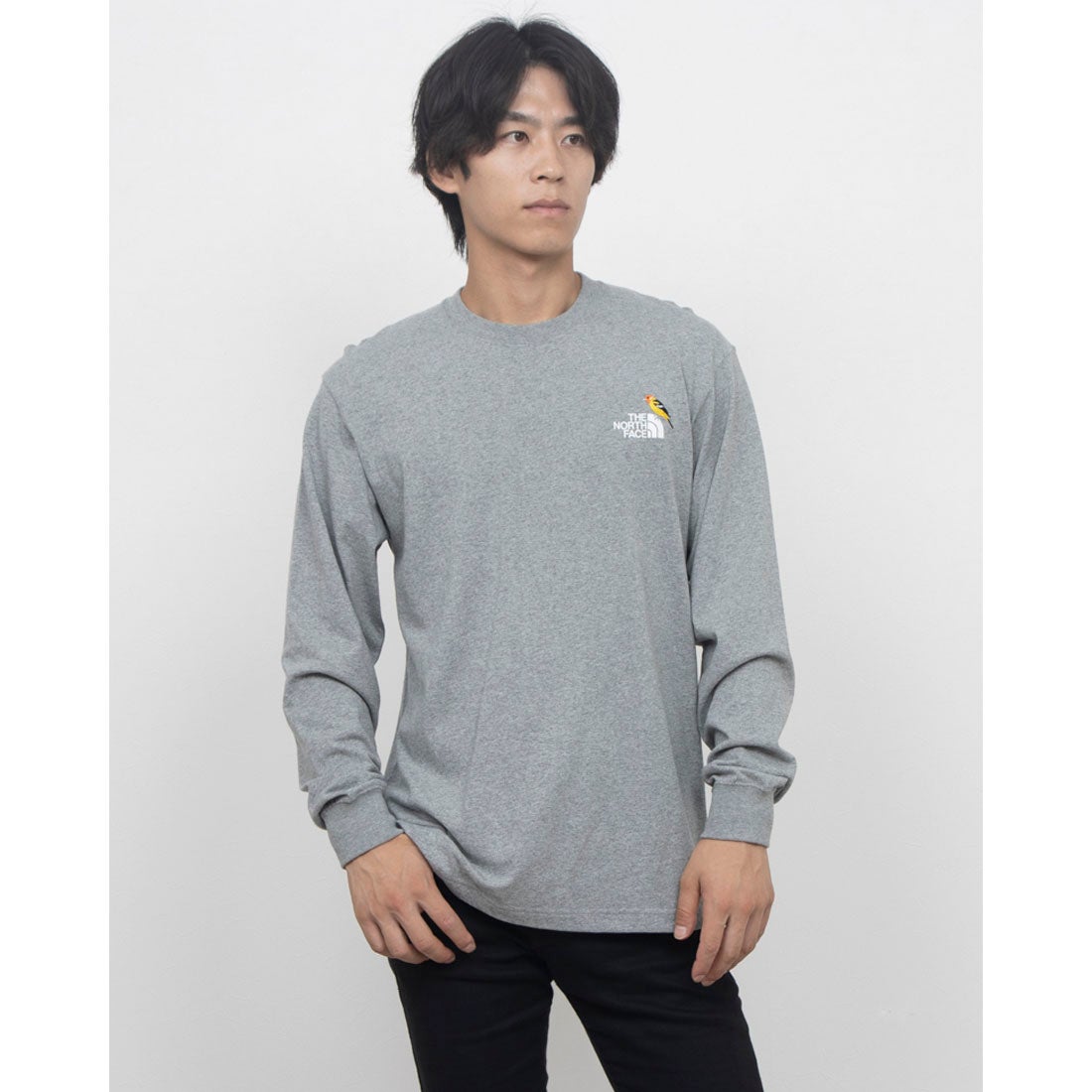 KNOSIS ロングスリーブTシャツ Lサイズ 2026年最新】knosis ロンtの