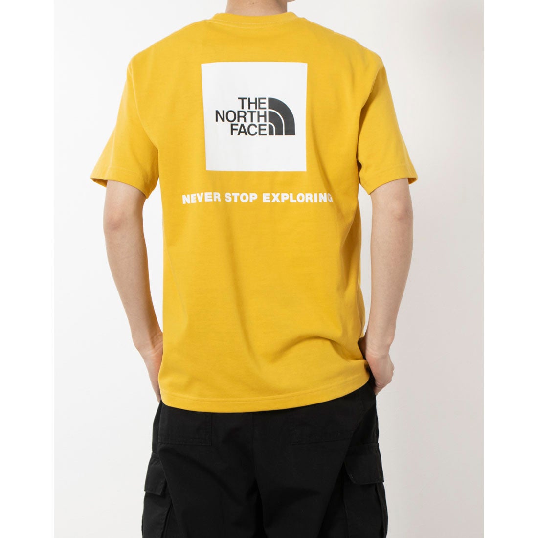 ザ ノース フェイス THE NORTH FACE メンズ アウトドア 半袖Tシャツ S