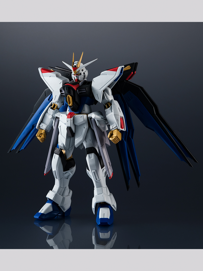 ラクス・クライン ストライクフリーダムガンダム XX2枚セット ラクス