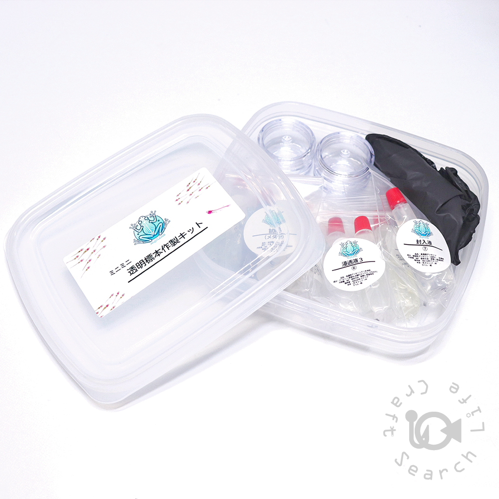 透明標本作製キット】(上級) 20点 自由研究 学習教材 改良版 【透明
