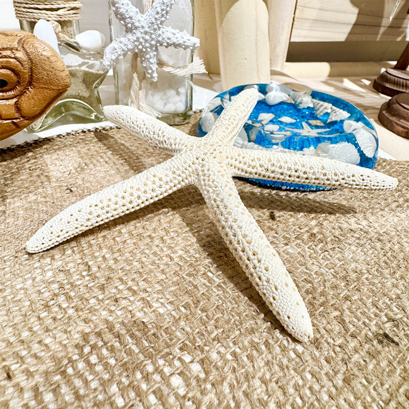 本物のひとでのオブジェ ハワイアン雑貨 スターフィッシュ 海の星 星型