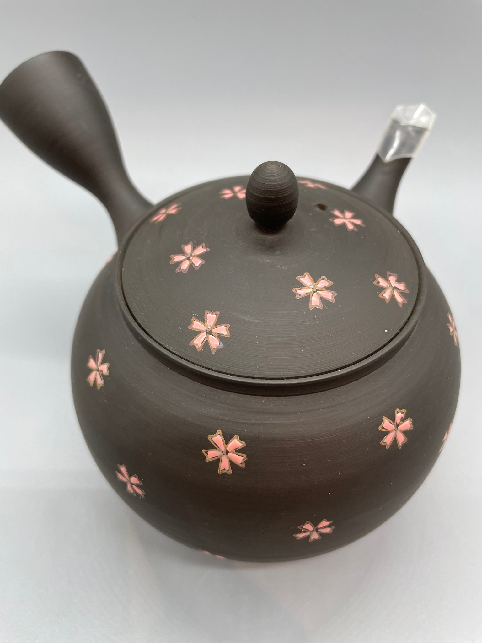 煎茶道具 益子焼 染付花文 大きめ急須 茶壷 時代箱 C R8055C