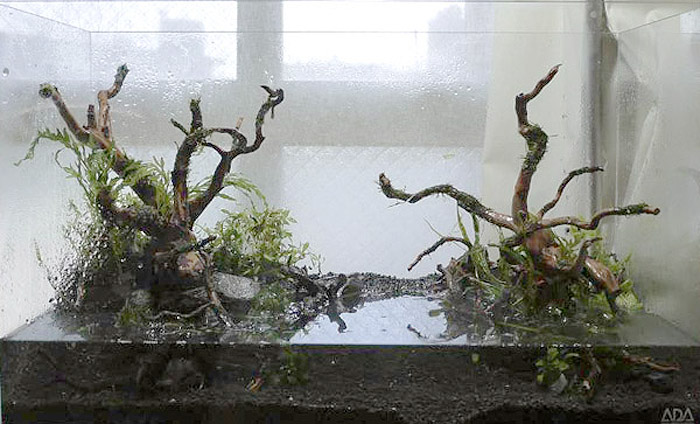 XM-378 流木 マシンガンウッド アクアリウム ブランチウッド 【公式通販】