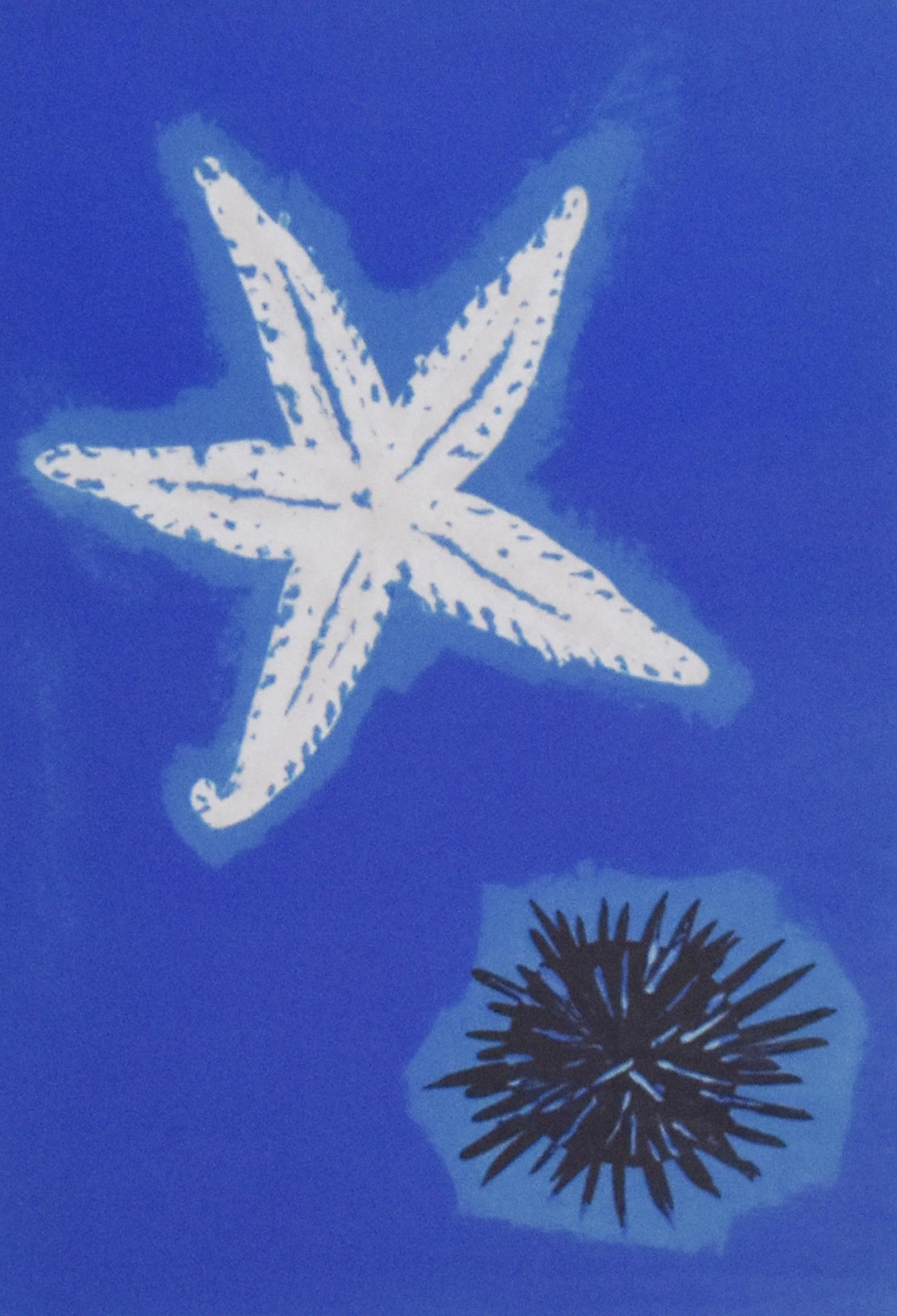 季の詩 7月」 | ｜正光画廊