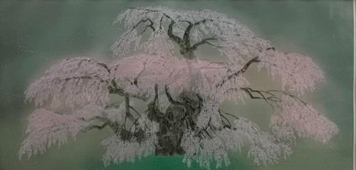 常照皇寺の九重桜 | ｜正光画廊