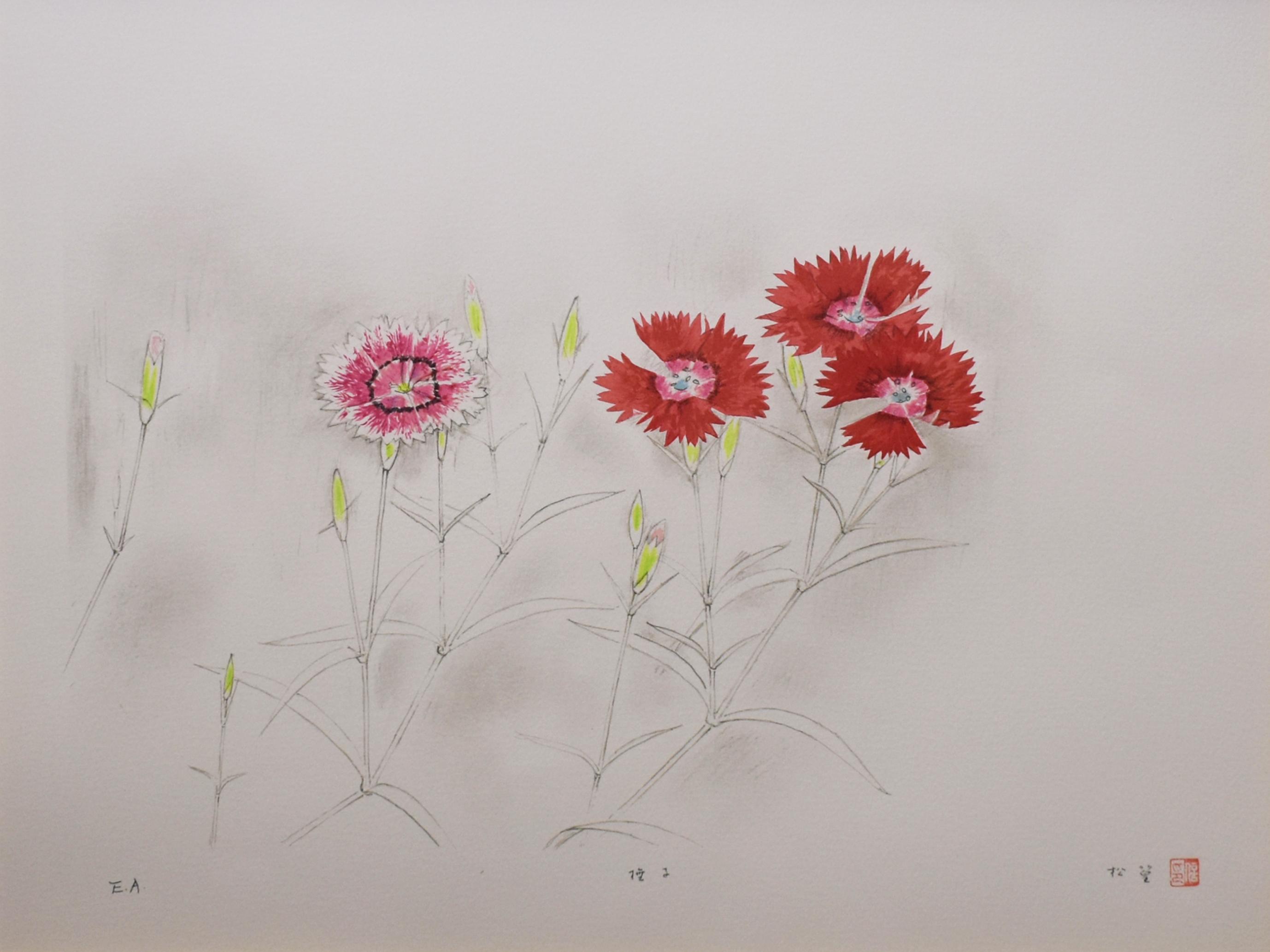 版画 「撫子：「私の花譜」より」 | ｜正光画廊