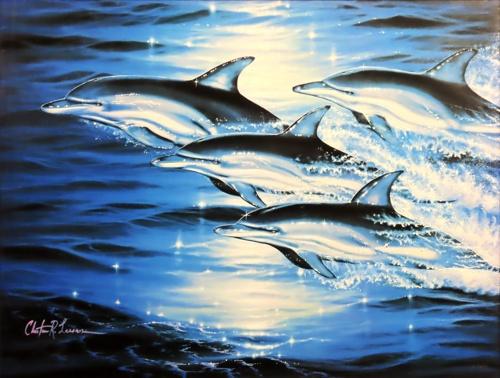 クリスチャンラッセン(ドルフィンシンフォニー(S)) クリスチャン