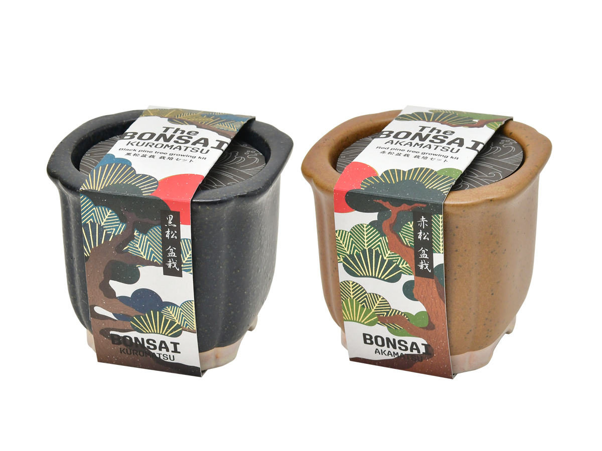 The BONSAI栽培セット - 聖新陶芸株式会社｜栽培キットの企画・製造・販売