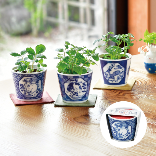 gd1022_web_2_thumbnail_510px_5