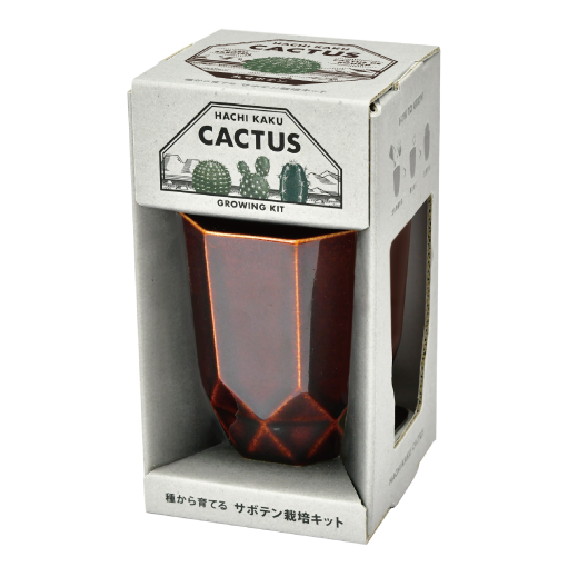HACHI KAKU CACTUS - 聖新陶芸株式会社｜栽培キットの企画・製造・販売