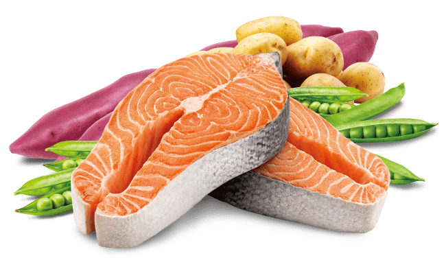 グレインフリー スリム/成猫の体重管理用 贅沢サーモン｜製品紹介