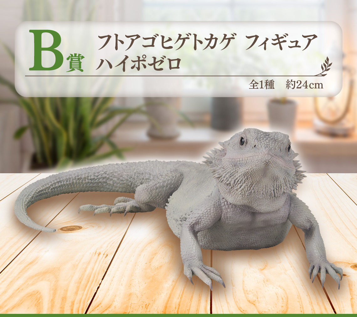 一番くじ 爬虫類＆両生類～ vol.2 A賞・B賞・C賞・D賞 一番くじ 爬虫類