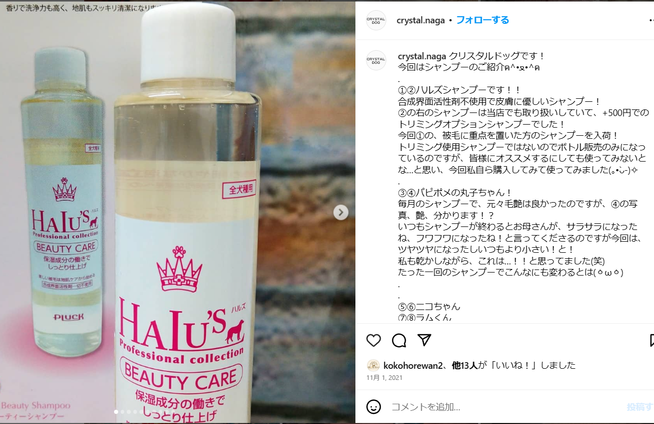 ハルズビューティーケアシャンプー – PLUCK