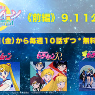 90s セーラームーン 有名デザイン L アニメ 映画 漫画 90s