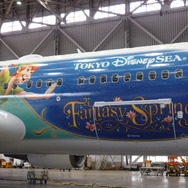 ディズニー】ファンタジースプリングスがテーマの特別塗装機「JAL