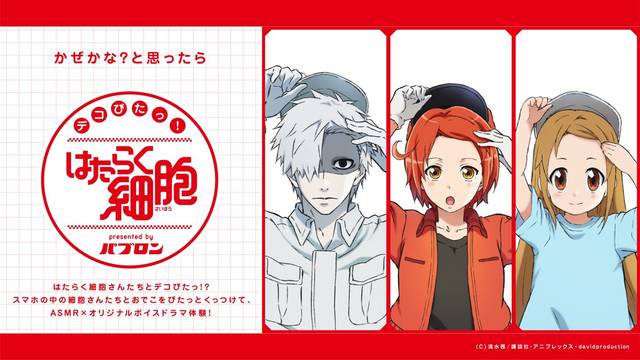 はたらく細胞 クラッシュフィーバー 当選品 直筆サイン 色紙 白血球