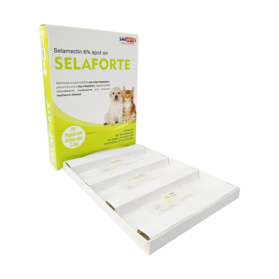 セラフォーテ子犬子猫用6本入り（レボリューションジェネリック