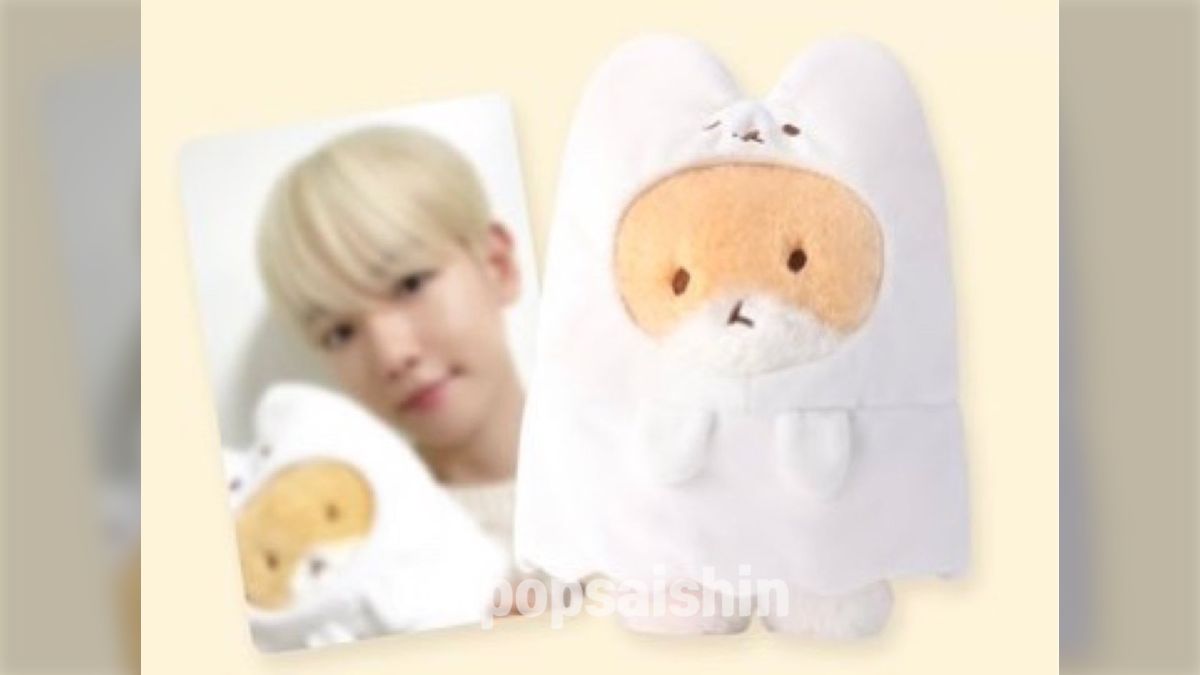 EXO ベッキョン ぬいぐるみ 販売 トレギ