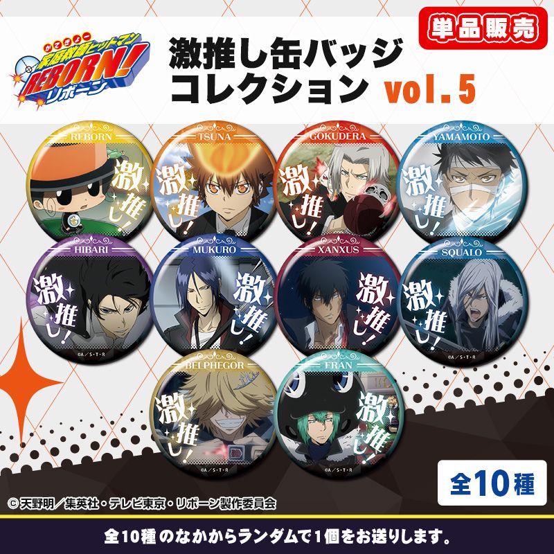 10個セット□家庭教師ヒットマンREBORN コレクション缶バッジ（全22