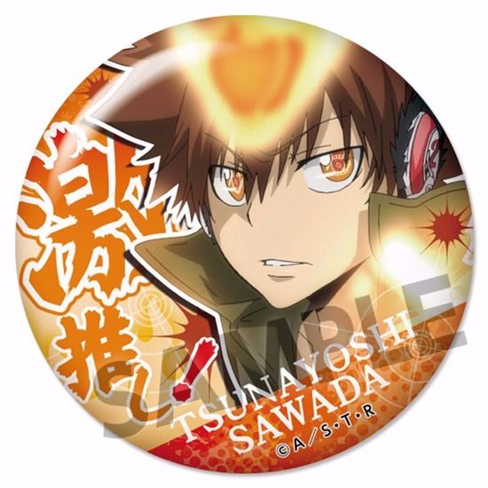 家庭教師ヒットマンREBORN! GIGO ホログラム缶バッジ 沢田綱吉 50個