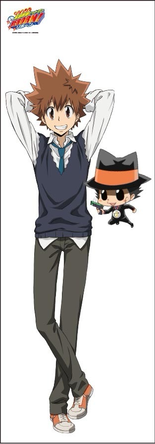 2017 家庭教師ヒットマンREBORN ツナ 沢田綱吉 リボーン カレンダー