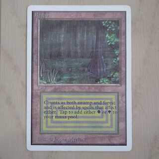 マジック：ザ・ギャザリング:土地の高額、レアカード、プロモ