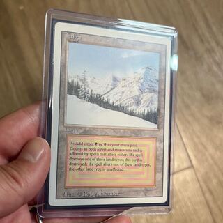 tundra リバイズド デュアルランド MTG Tundra 英語 デュアルランド