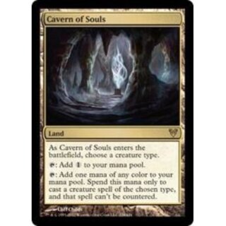 MTG 《魂の洞窟/Cavern of Souls》 AVR 英語