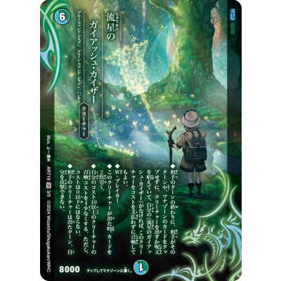 流星のガイアッシュカイザー 神アート 未開封 未開封)流星のガイ