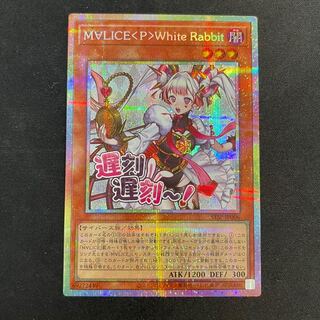 M∀LICE〈P〉White Rabbit」の激安通販 | magi