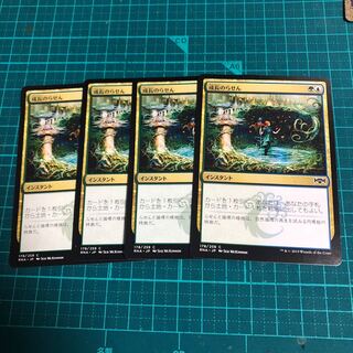 MTG 成長のらせん プロモfoil 4枚セット 成長のらせん」の激安通販 |