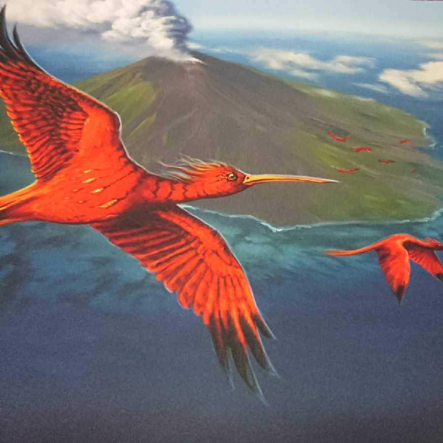 MTG 極楽鳥 Mark Poole プレイマット MTG 極楽鳥 Mark Poole プレイ