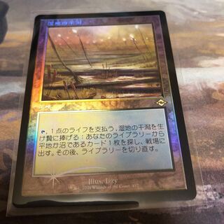 2枚セット】湿地の干潟_FOIL_EXP Amazon.co.jp: MTG EXP/エクスペ