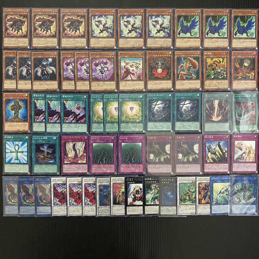遊戯王 【本格構築‼️】ローズドラゴン 構築済み デッキ 本格構築