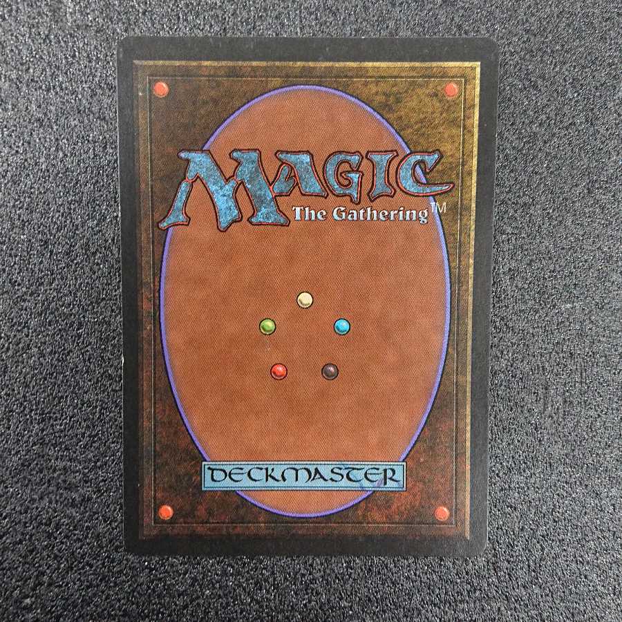 MTG 繁茂 β ベータ版 英語 3枚 MTG 繁茂β ベータ版英語3枚