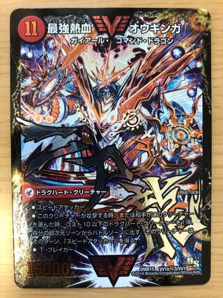 ガイギンガ ガイハート オウギンガ ギガハート 文字 秘 シク